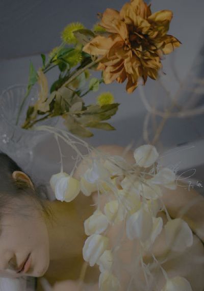 angelababy造梦工厂精彩剧_手机免费观看