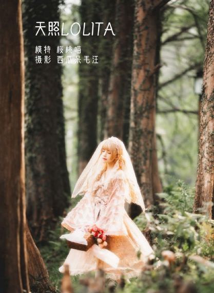嘟嘟影视_HD高清完整版